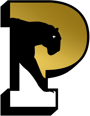 logo Panthers