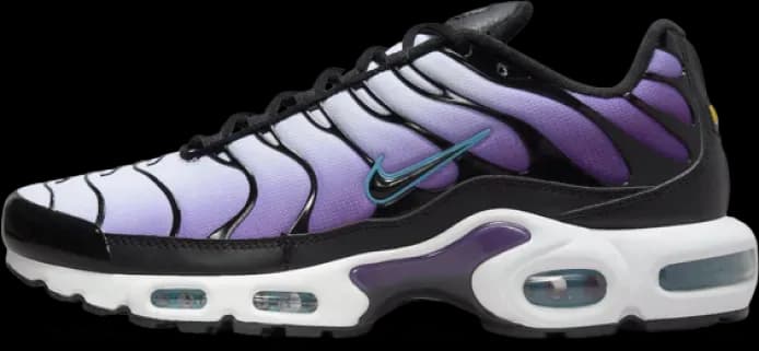 image-nike-air-max-plus-reverse-grape-fq2415-500